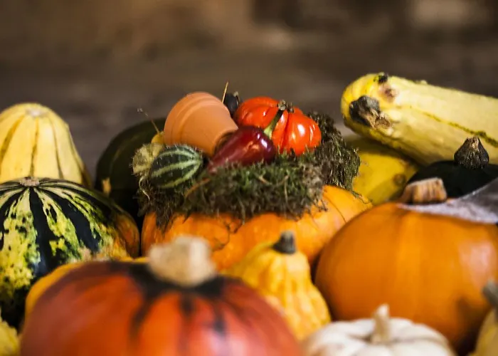 Farma Mocenigo Mirano
