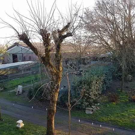 Farm stay Mocenigo Mirano