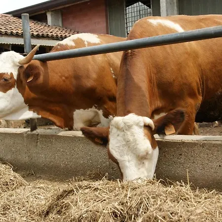 Farm stay Mocenigo